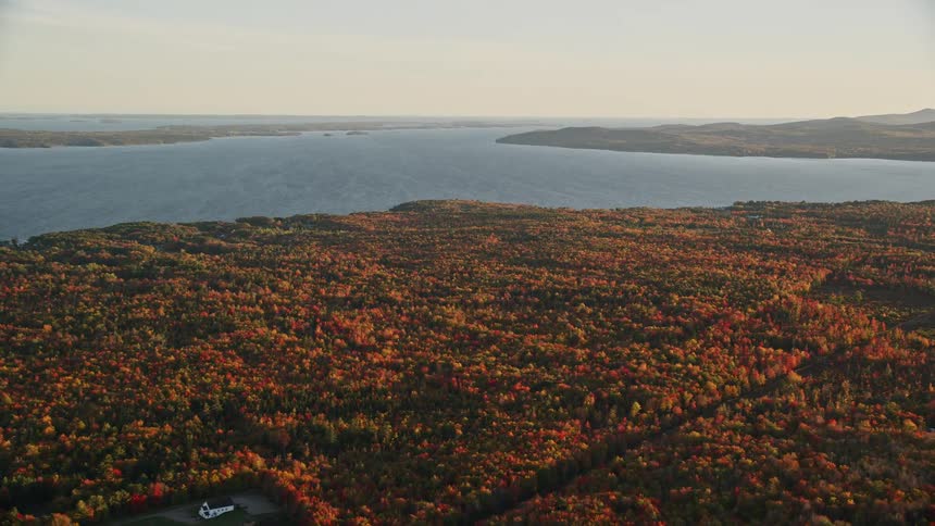 The leaves are turning in the forest