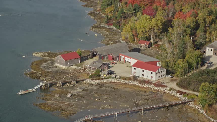 Some small houses in front of a large river and behind it there is a forest