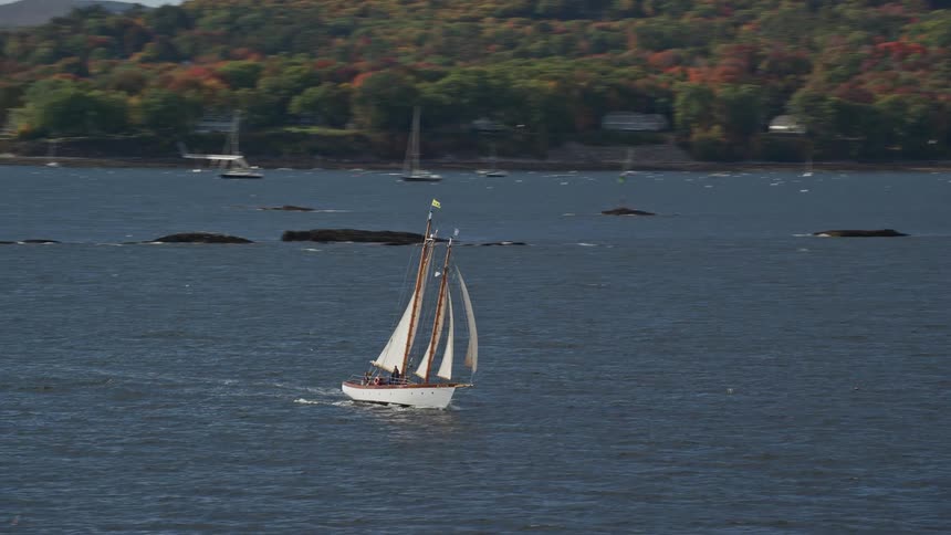 A sailboat sailing in the ocean