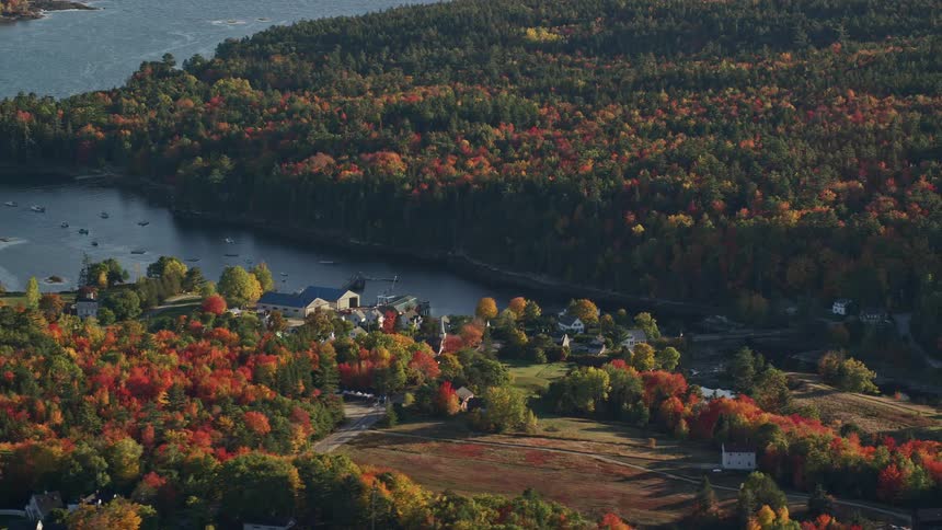 Aerial view of a coastal town surrounded by red and brown trees
