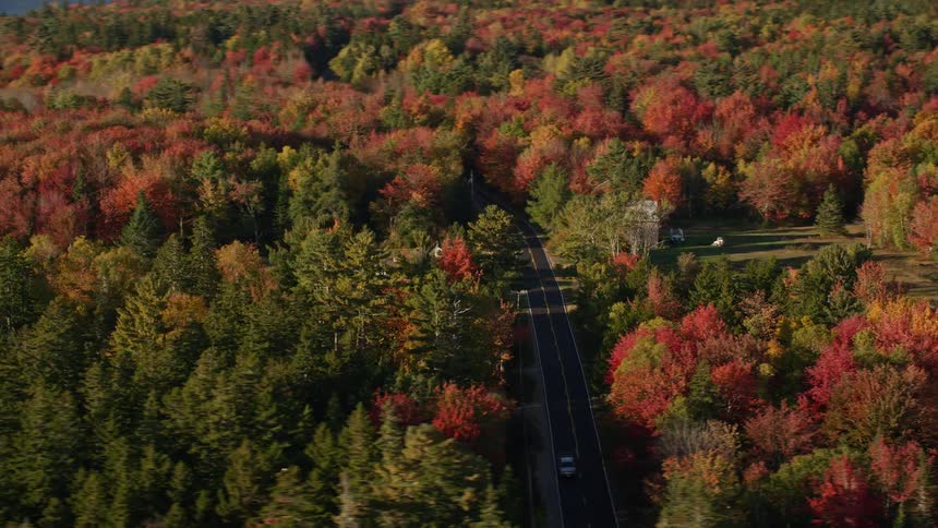 An aerial view of the woodlands closer to the sea