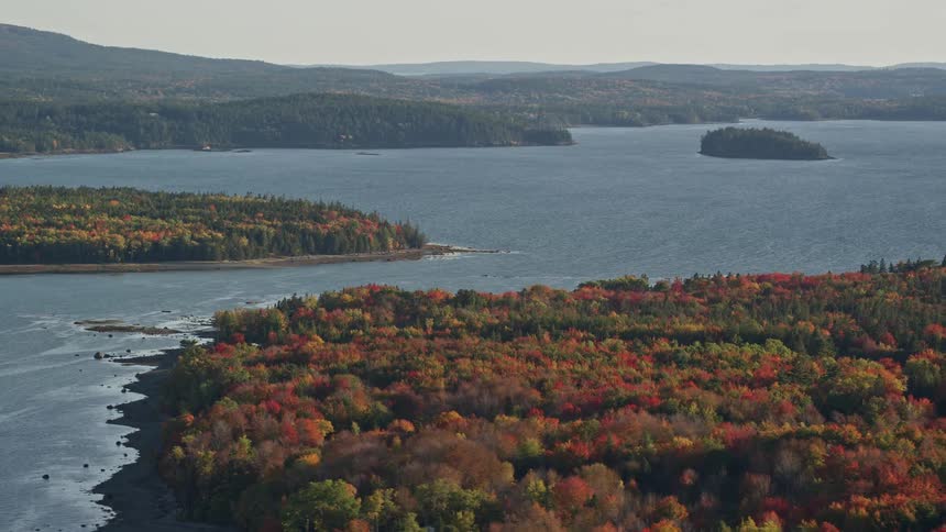 An aerial view of a woods land closer to the river