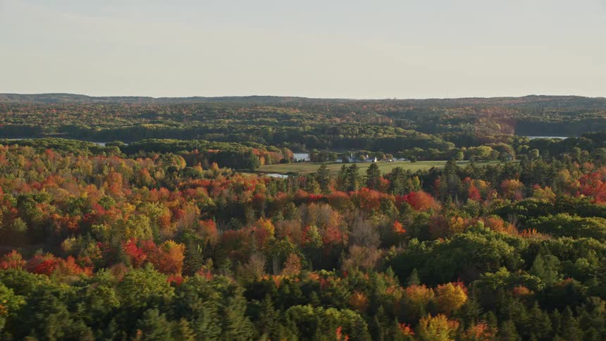Aerial view of a red and brown forested area with riverfront houses