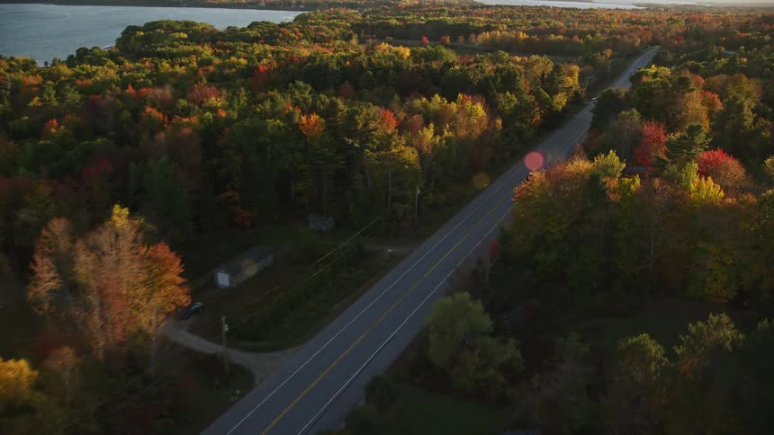Aerial view of a highway through a forest of conifer trees by the sea