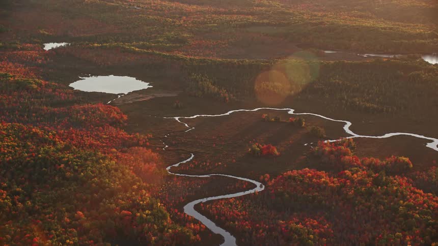 Aerial view of rivers streams trees with fall colors