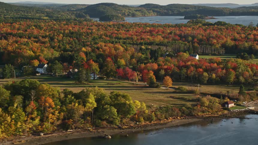 Aerial view of a shoreline along with a forested area