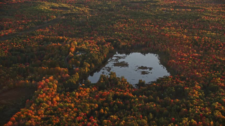 Aerial view of a small lake surrounded by a brown and red trees