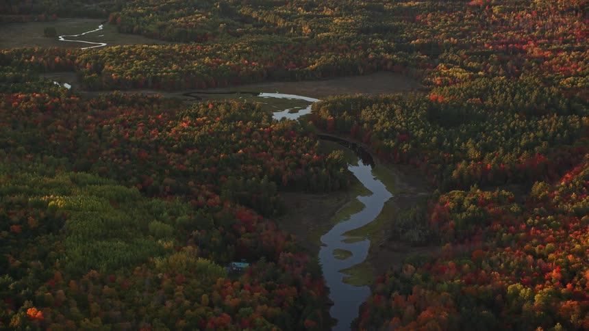 Aerial view of a forest and rivers with the morning sunlight
