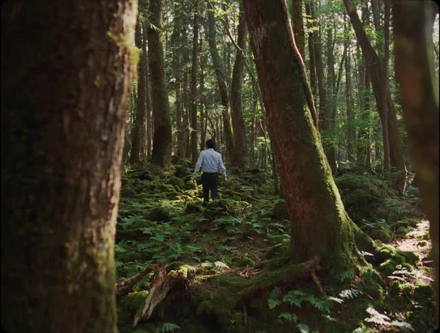 Man in a suit walking in the middle of a forest