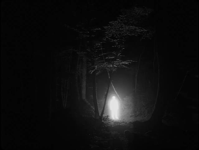Person with their body illuminated by abstract bright light walking in a forest at night