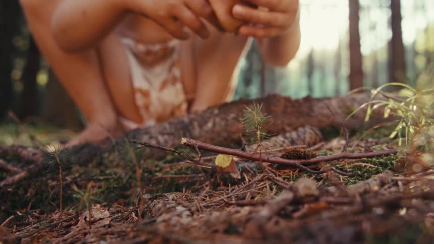 A child plucked a mushroom from the ground and walked away