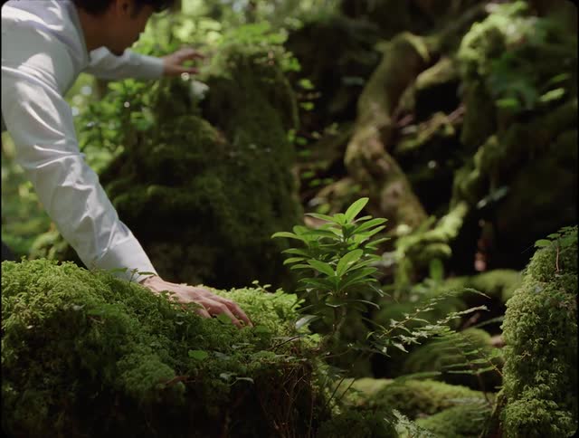 Man walking down a dirt path through a lush green forest