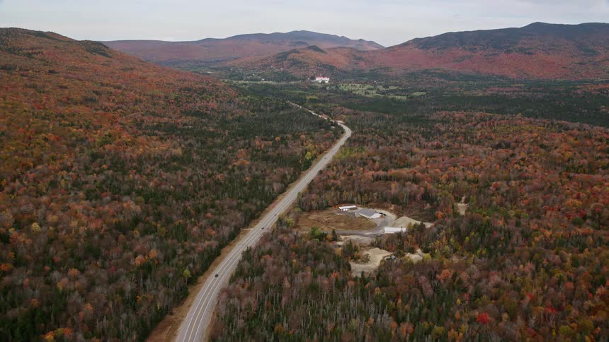 Aerial of the road in the middle of the forest