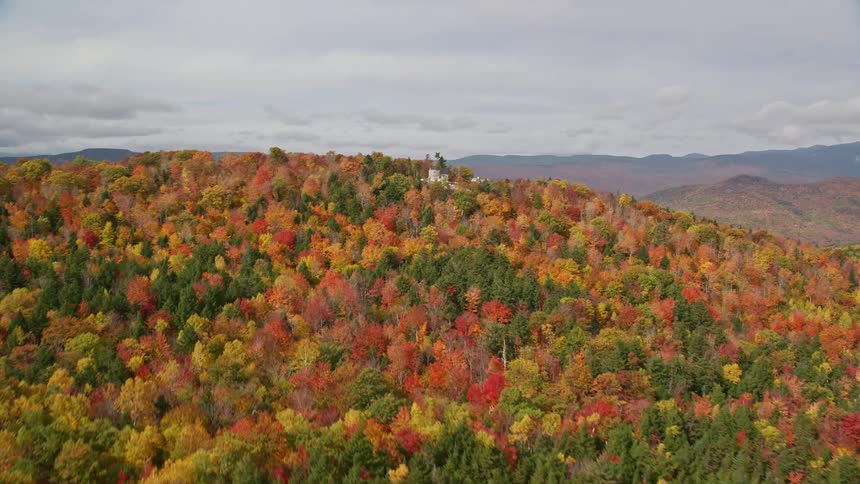 A house hidden high on a forested mountain