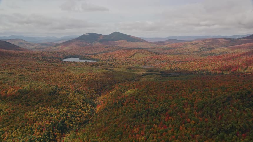 The mountains are covered with trees
