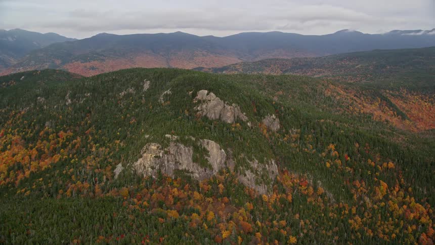 A mountain top covered with plants and trees