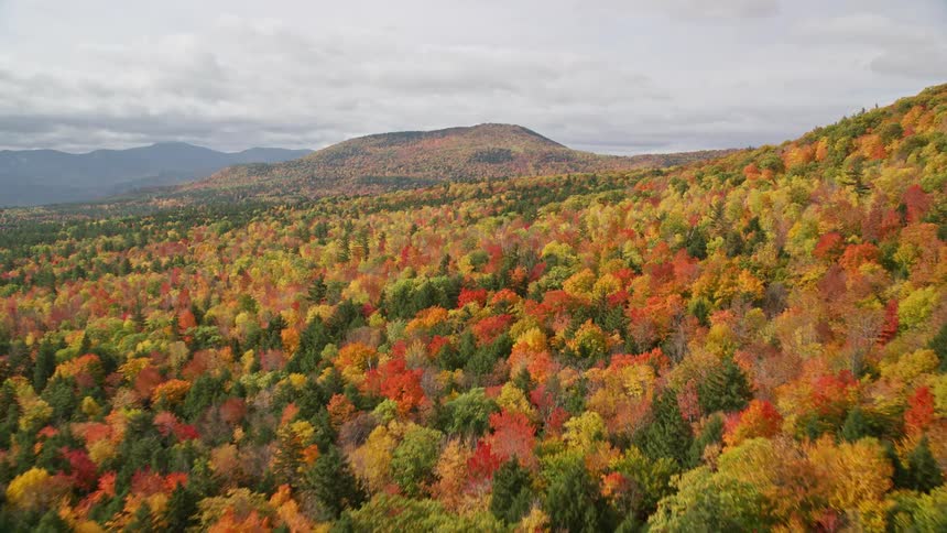 Aerial of a vast forest surrounded by hills on a cloudy autumn day