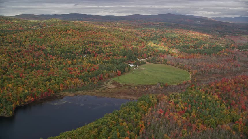 The river runs to the forest