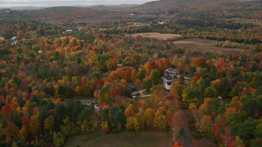 View of residential properties amidst a wooded area