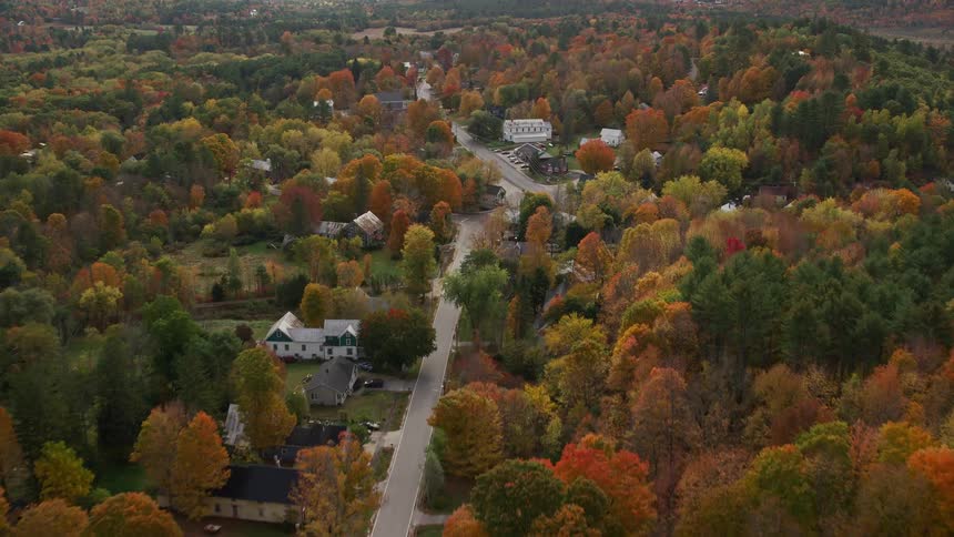 Some houses in a rural region with many trees and forests around
