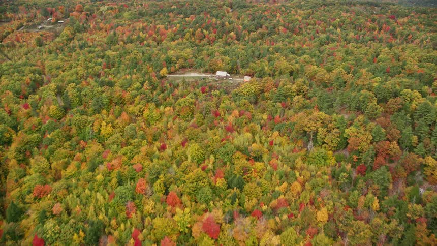 Aerial view of a building and a road in the autumn forest