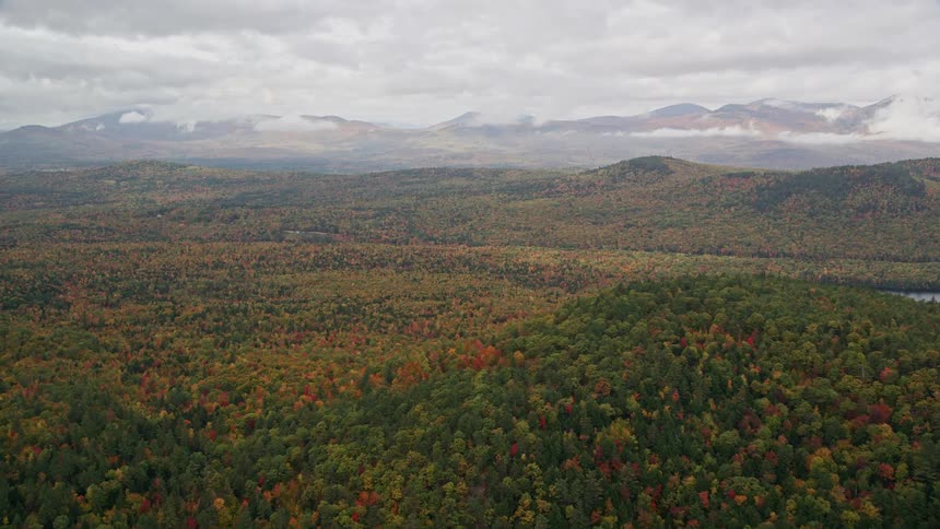 A forest in a hill all covered in trees