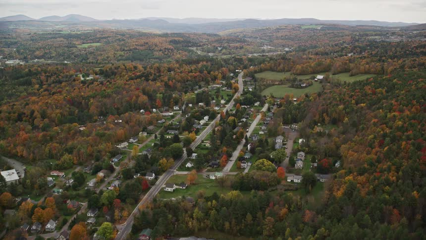 A small rural residential area surrounded by trees