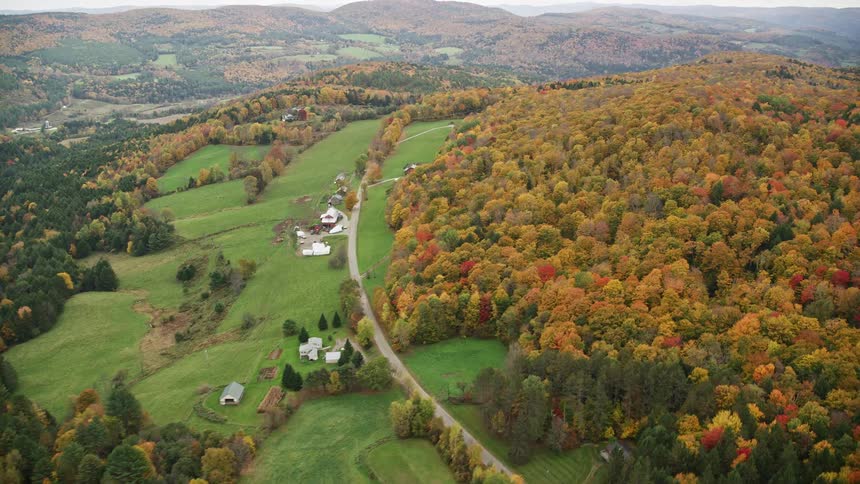 A small town close to a forest with trees