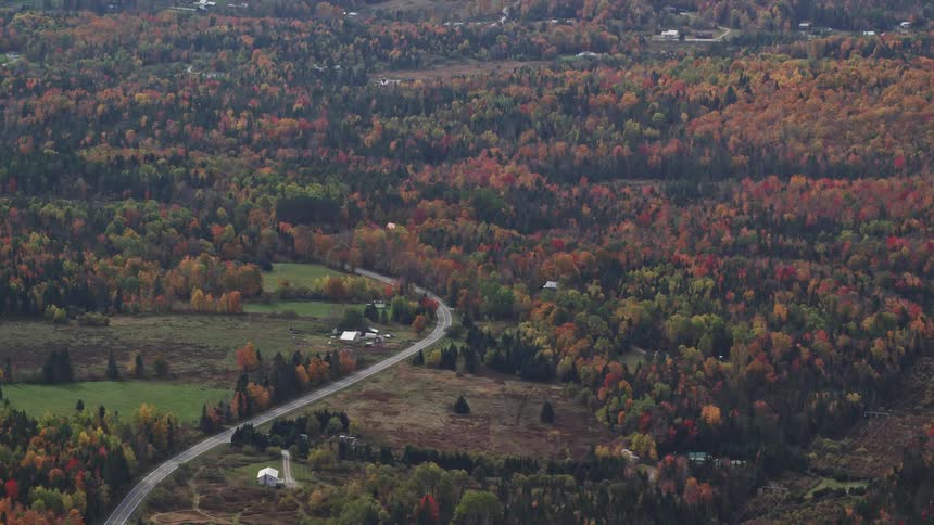 Aerial view of a road through the forest in a rural area