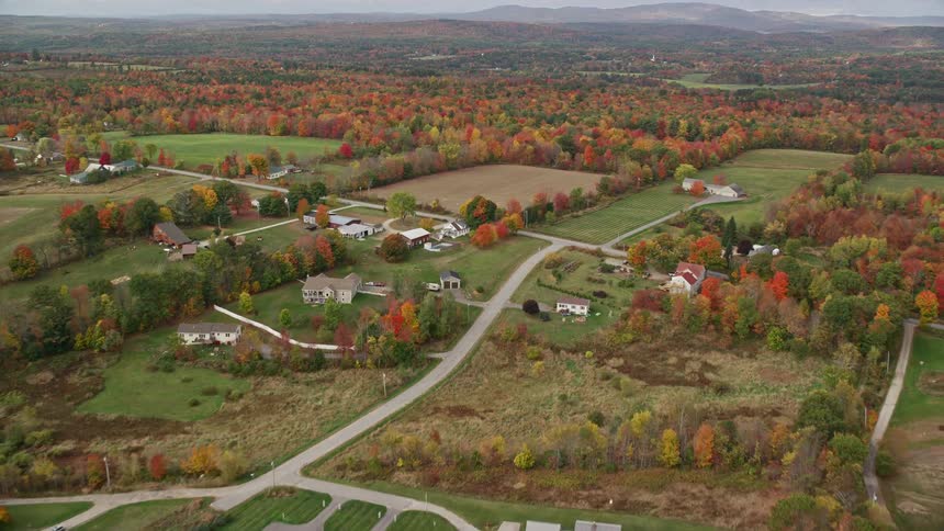A small town is surrounded by trees