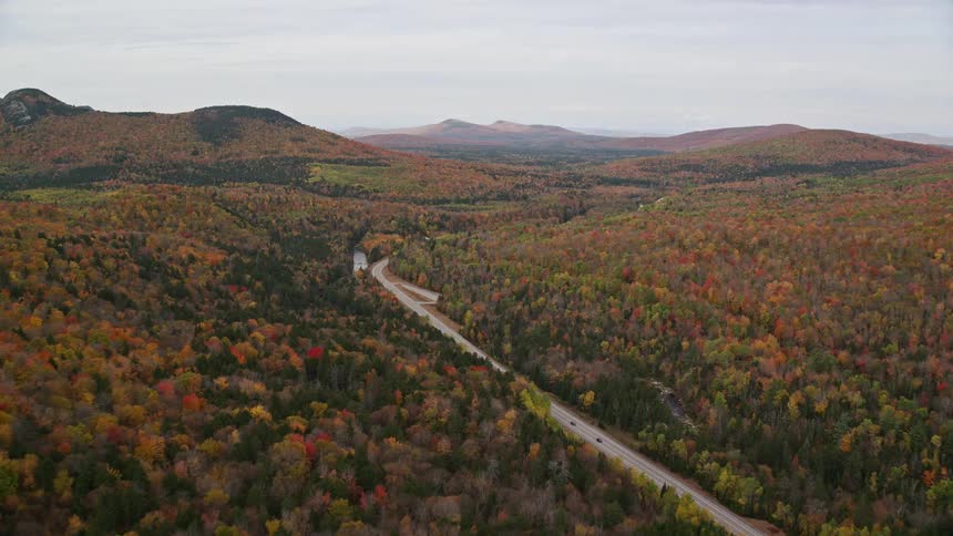 Aerial view of a road through the forest in a rural area