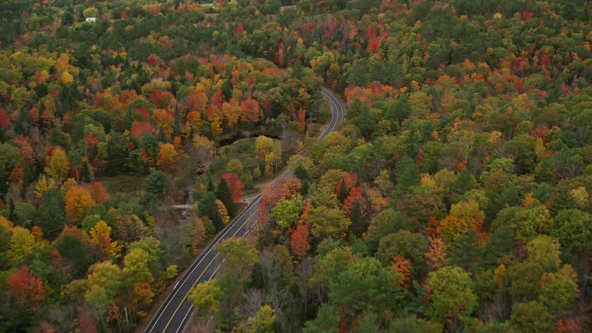 Aerial view of a road through the forest in a rural area