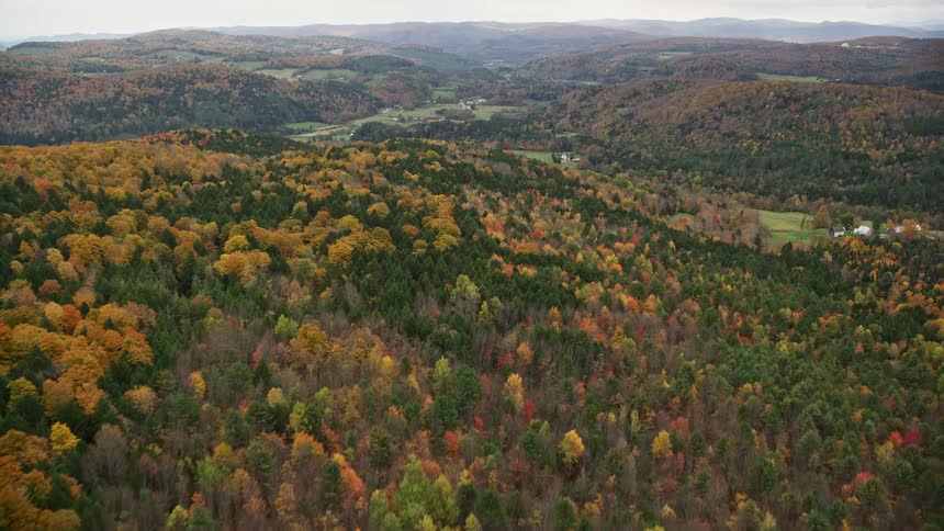 An aerial view of forests on top of columns and the leaves are turning orange
