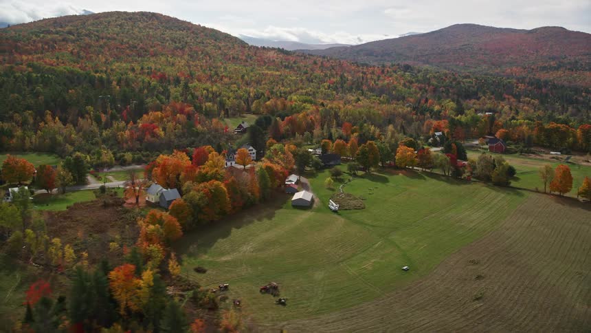 The small town is surrounded by trees