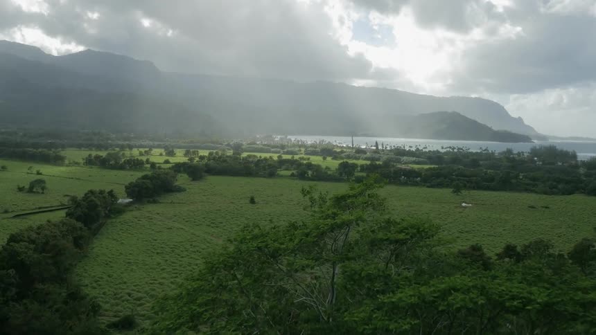 A field is green leading to the water ahead