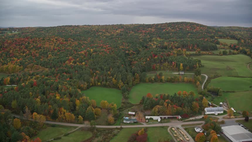 Aerial view of landscape trees in fall color road and building