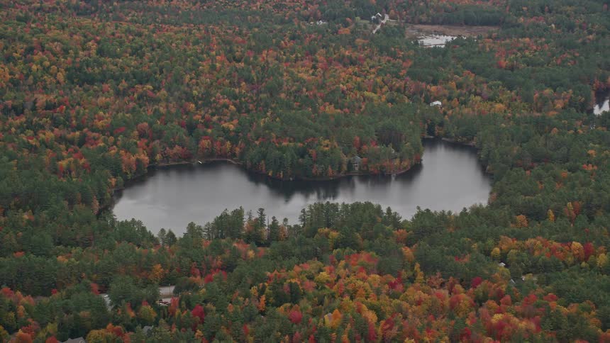 Skyline of a lake surrounded by forest during a cloudy day