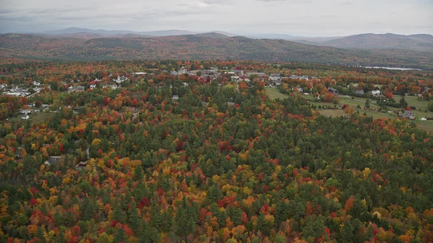 An aerial panorama of an upscale suburban area with houses amidst a forest