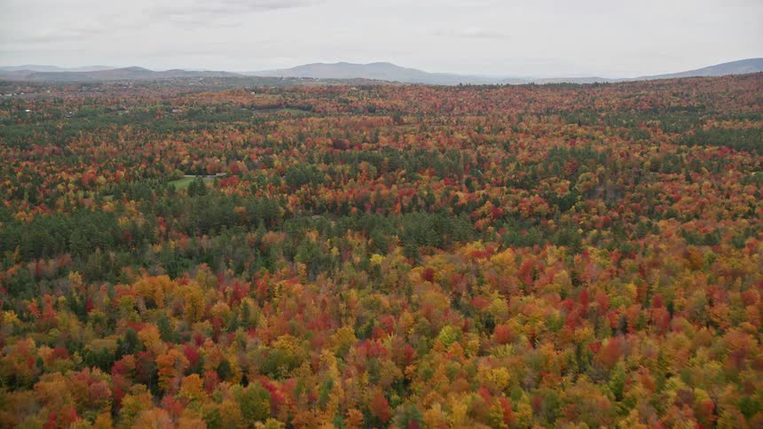A rural small town with a forest close by as the trees leaves changes color