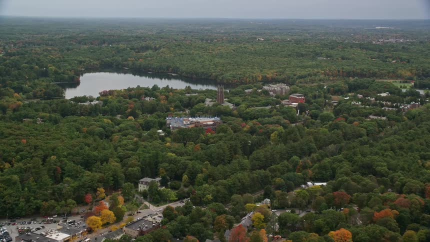 A region with some houses and many forest trees with green leaves and behind a large lake