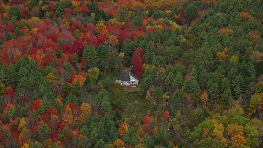 An aerial view of an isolated house in the midst of a forest