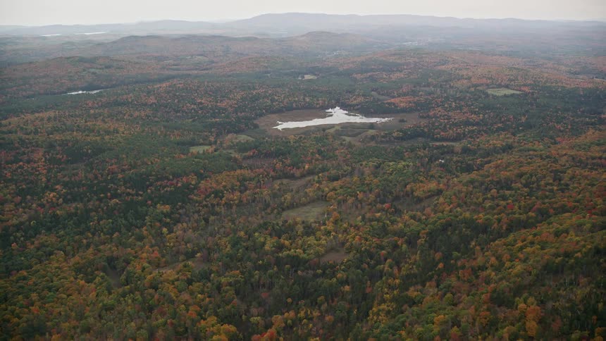 A region with many trees and forest and a small lake