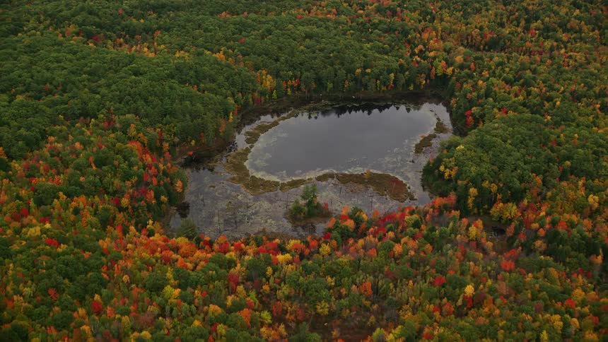 Aerial view of fall landscape and pond
