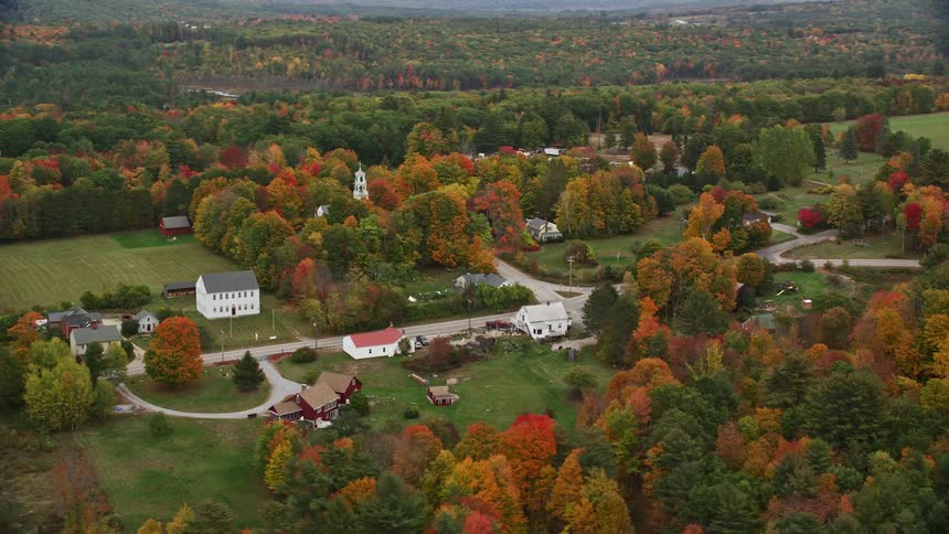 Small residential town in the middle of a forest