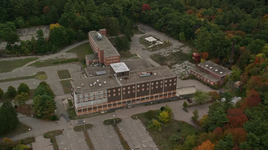Skyline of an abandoned building in the middle of the forest