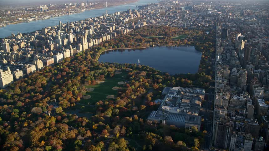 Aerial of trees water and buildings in a big city on a sunny day