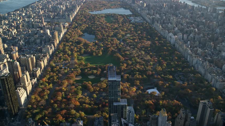 Aerial of new york city encompassing central park during the fall