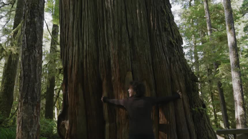 Woman hugging a giant tree trunk