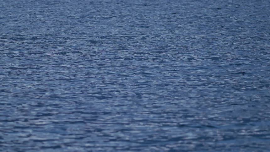 A surface of blue water with small ripples moving in the wind