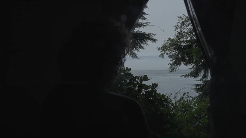 A clip of the forest view from inside a tent
